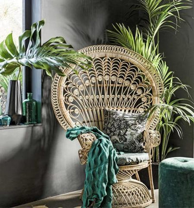 6 Ways to Get a Tropical Decor Vibe in Your Home